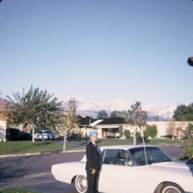 image017